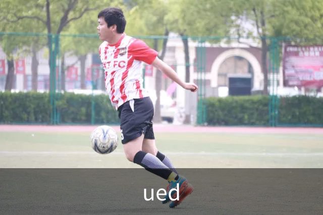 ued公司介绍